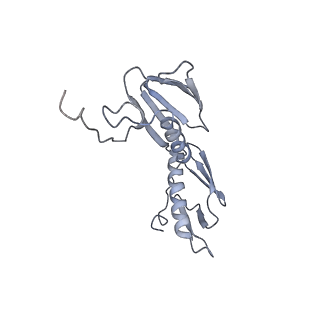 8615_5uyk_08_v1-4
70S ribosome bound with cognate ternary complex not base-paired to A site codon (Structure I)