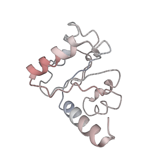8615_5uyk_10_v1-3
70S ribosome bound with cognate ternary complex not base-paired to A site codon (Structure I)