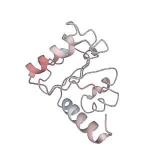 8615_5uyk_10_v1-4
70S ribosome bound with cognate ternary complex not base-paired to A site codon (Structure I)