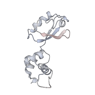 8615_5uyk_11_v1-4
70S ribosome bound with cognate ternary complex not base-paired to A site codon (Structure I)