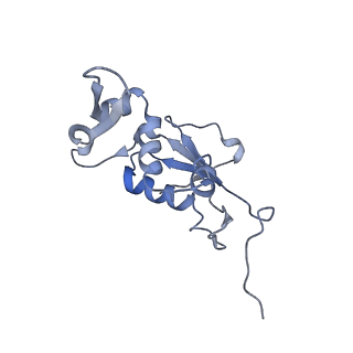 8615_5uyk_12_v1-3
70S ribosome bound with cognate ternary complex not base-paired to A site codon (Structure I)