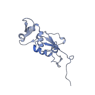 8615_5uyk_12_v1-4
70S ribosome bound with cognate ternary complex not base-paired to A site codon (Structure I)