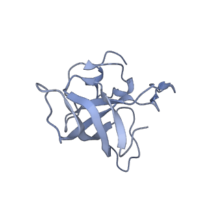 8615_5uyk_13_v1-4
70S ribosome bound with cognate ternary complex not base-paired to A site codon (Structure I)