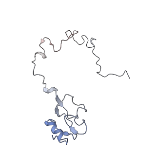 8615_5uyk_14_v1-3
70S ribosome bound with cognate ternary complex not base-paired to A site codon (Structure I)