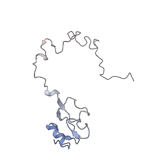 8615_5uyk_14_v1-4
70S ribosome bound with cognate ternary complex not base-paired to A site codon (Structure I)