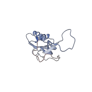 8615_5uyk_15_v1-3
70S ribosome bound with cognate ternary complex not base-paired to A site codon (Structure I)