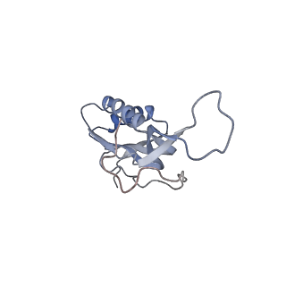 8615_5uyk_15_v1-4
70S ribosome bound with cognate ternary complex not base-paired to A site codon (Structure I)