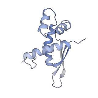 8615_5uyk_16_v1-3
70S ribosome bound with cognate ternary complex not base-paired to A site codon (Structure I)