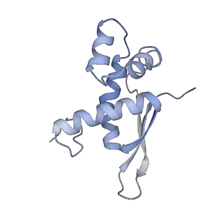 8615_5uyk_16_v1-4
70S ribosome bound with cognate ternary complex not base-paired to A site codon (Structure I)