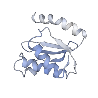 8615_5uyk_17_v1-4
70S ribosome bound with cognate ternary complex not base-paired to A site codon (Structure I)