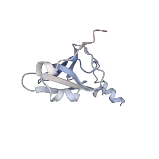 8615_5uyk_18_v1-4
70S ribosome bound with cognate ternary complex not base-paired to A site codon (Structure I)