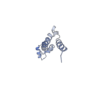 8615_5uyk_19_v1-3
70S ribosome bound with cognate ternary complex not base-paired to A site codon (Structure I)