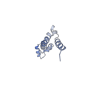 8615_5uyk_19_v1-4
70S ribosome bound with cognate ternary complex not base-paired to A site codon (Structure I)