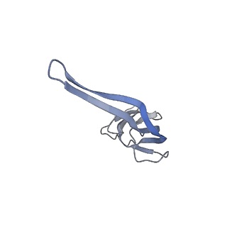 8615_5uyk_20_v1-4
70S ribosome bound with cognate ternary complex not base-paired to A site codon (Structure I)