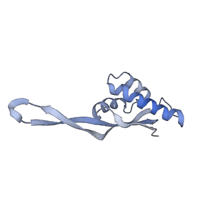 8615_5uyk_21_v1-3
70S ribosome bound with cognate ternary complex not base-paired to A site codon (Structure I)