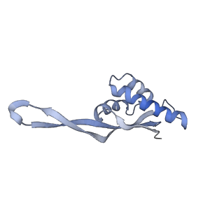 8615_5uyk_21_v1-4
70S ribosome bound with cognate ternary complex not base-paired to A site codon (Structure I)