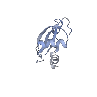 8615_5uyk_22_v1-3
70S ribosome bound with cognate ternary complex not base-paired to A site codon (Structure I)
