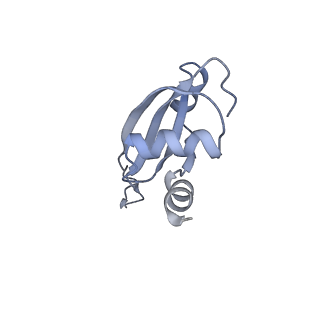 8615_5uyk_22_v1-4
70S ribosome bound with cognate ternary complex not base-paired to A site codon (Structure I)