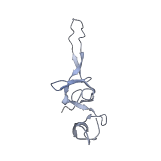 8615_5uyk_23_v1-3
70S ribosome bound with cognate ternary complex not base-paired to A site codon (Structure I)