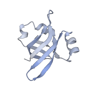 8615_5uyk_24_v1-3
70S ribosome bound with cognate ternary complex not base-paired to A site codon (Structure I)