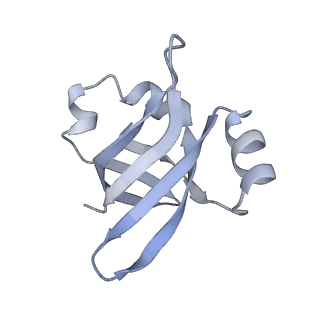 8615_5uyk_24_v1-4
70S ribosome bound with cognate ternary complex not base-paired to A site codon (Structure I)