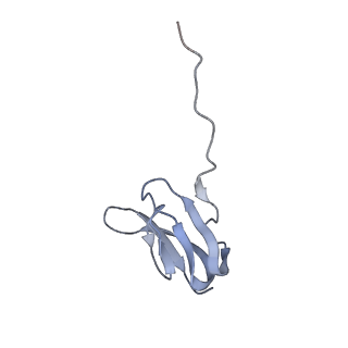 8615_5uyk_25_v1-3
70S ribosome bound with cognate ternary complex not base-paired to A site codon (Structure I)