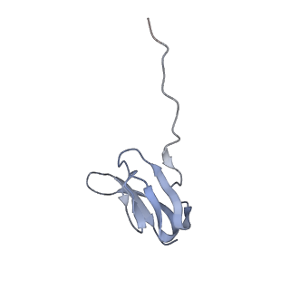 8615_5uyk_25_v1-4
70S ribosome bound with cognate ternary complex not base-paired to A site codon (Structure I)