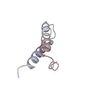8615_5uyk_27_v1-4
70S ribosome bound with cognate ternary complex not base-paired to A site codon (Structure I)