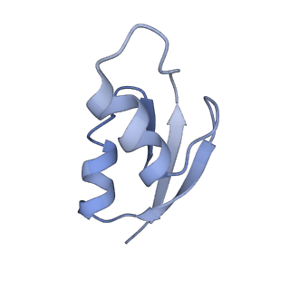 8615_5uyk_28_v1-4
70S ribosome bound with cognate ternary complex not base-paired to A site codon (Structure I)