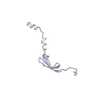 8615_5uyk_29_v1-3
70S ribosome bound with cognate ternary complex not base-paired to A site codon (Structure I)