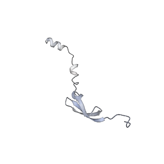 8615_5uyk_29_v1-4
70S ribosome bound with cognate ternary complex not base-paired to A site codon (Structure I)