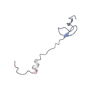 8615_5uyk_30_v1-3
70S ribosome bound with cognate ternary complex not base-paired to A site codon (Structure I)