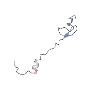 8615_5uyk_30_v1-4
70S ribosome bound with cognate ternary complex not base-paired to A site codon (Structure I)