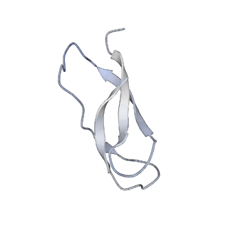 8615_5uyk_31_v1-4
70S ribosome bound with cognate ternary complex not base-paired to A site codon (Structure I)