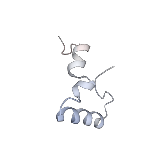 8615_5uyk_32_v1-3
70S ribosome bound with cognate ternary complex not base-paired to A site codon (Structure I)