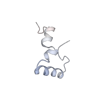 8615_5uyk_32_v1-4
70S ribosome bound with cognate ternary complex not base-paired to A site codon (Structure I)
