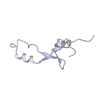8615_5uyk_33_v1-3
70S ribosome bound with cognate ternary complex not base-paired to A site codon (Structure I)