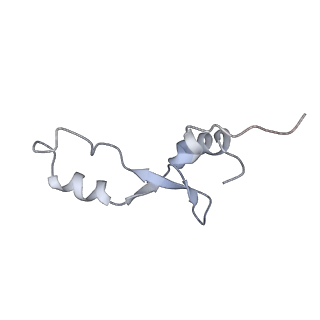 8615_5uyk_33_v1-4
70S ribosome bound with cognate ternary complex not base-paired to A site codon (Structure I)