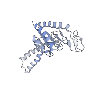 8615_5uyk_B_v1-3
70S ribosome bound with cognate ternary complex not base-paired to A site codon (Structure I)