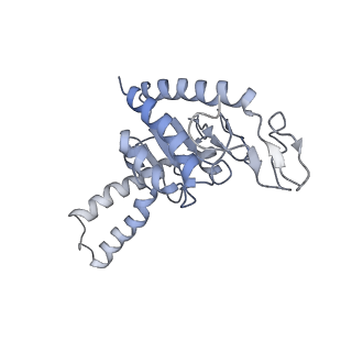 8615_5uyk_B_v1-4
70S ribosome bound with cognate ternary complex not base-paired to A site codon (Structure I)