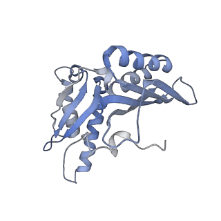 8615_5uyk_C_v1-3
70S ribosome bound with cognate ternary complex not base-paired to A site codon (Structure I)