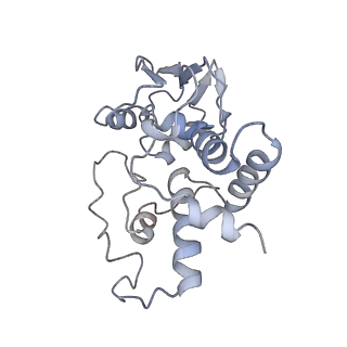 8615_5uyk_D_v1-3
70S ribosome bound with cognate ternary complex not base-paired to A site codon (Structure I)