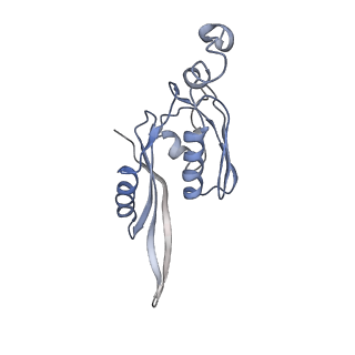 8615_5uyk_E_v1-4
70S ribosome bound with cognate ternary complex not base-paired to A site codon (Structure I)