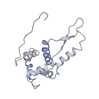 8615_5uyk_G_v1-3
70S ribosome bound with cognate ternary complex not base-paired to A site codon (Structure I)