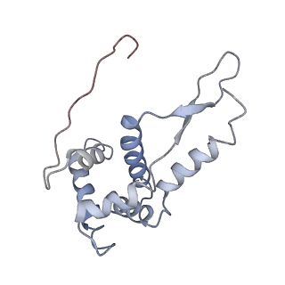 8615_5uyk_G_v1-4
70S ribosome bound with cognate ternary complex not base-paired to A site codon (Structure I)