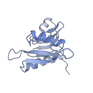 8615_5uyk_H_v1-3
70S ribosome bound with cognate ternary complex not base-paired to A site codon (Structure I)