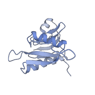 8615_5uyk_H_v1-4
70S ribosome bound with cognate ternary complex not base-paired to A site codon (Structure I)