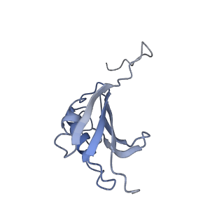 8615_5uyk_K_v1-3
70S ribosome bound with cognate ternary complex not base-paired to A site codon (Structure I)