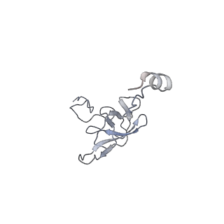8615_5uyk_L_v1-3
70S ribosome bound with cognate ternary complex not base-paired to A site codon (Structure I)