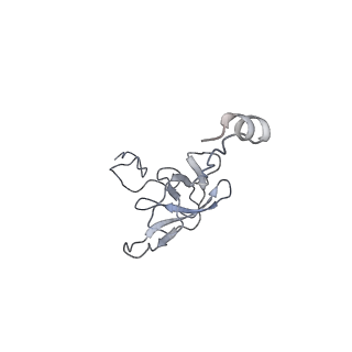 8615_5uyk_L_v1-4
70S ribosome bound with cognate ternary complex not base-paired to A site codon (Structure I)